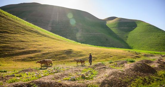 250421_WCA_AF_Badghis_Livelihoods_Landscape_52030-07-23-min