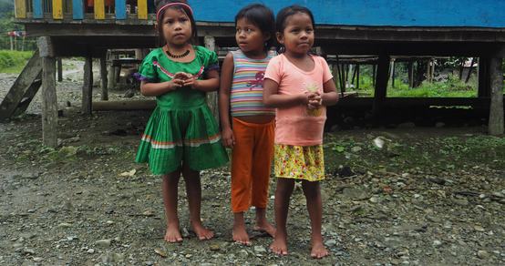 War Child Holland_Colombia_Choco_Seeds_201126